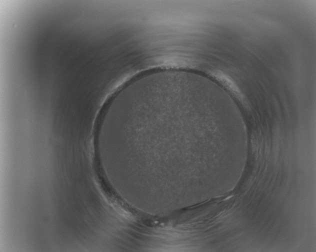 X0000071770488200607150032