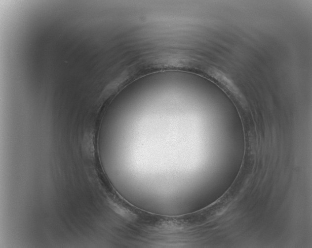 X0000071770489200607150032