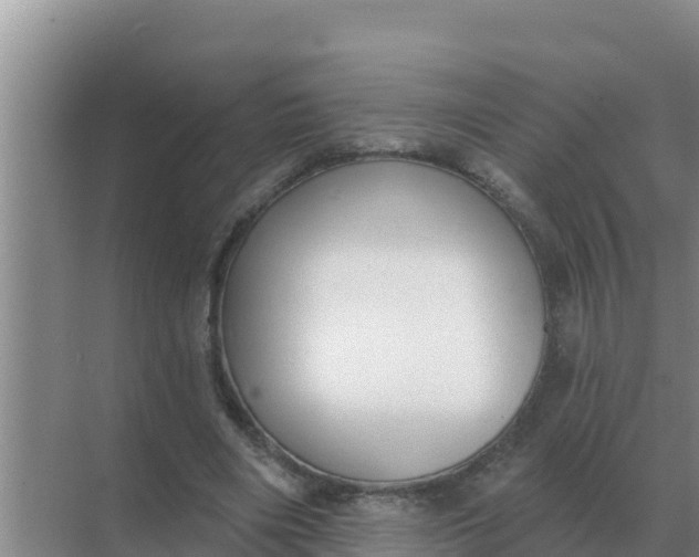 X0000071770490200607150032