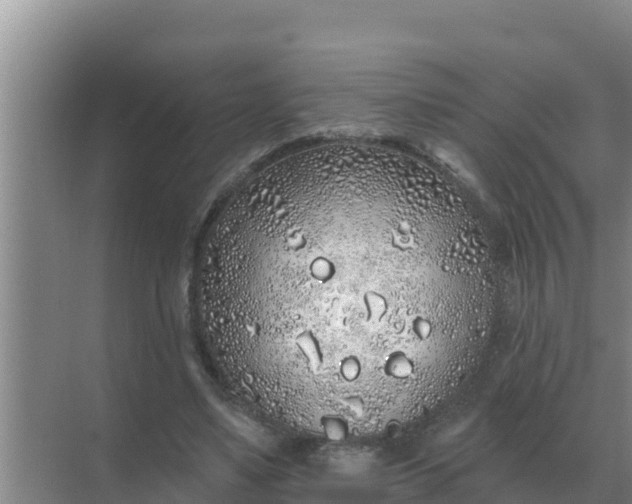 X0000071770491200607150032