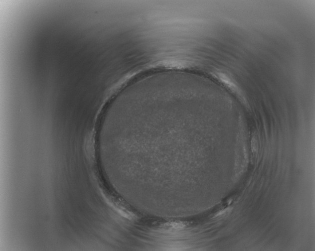 X0000071770492200607150032