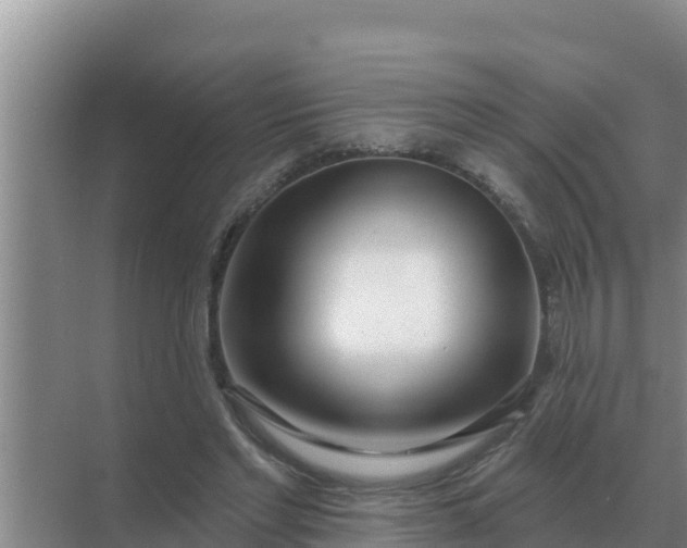 X0000071770493200607150032