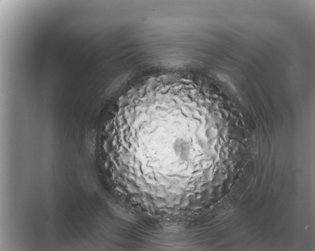 X0000071770495200607150032