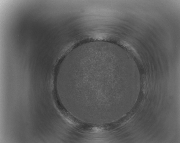 X0000071770496200607150032