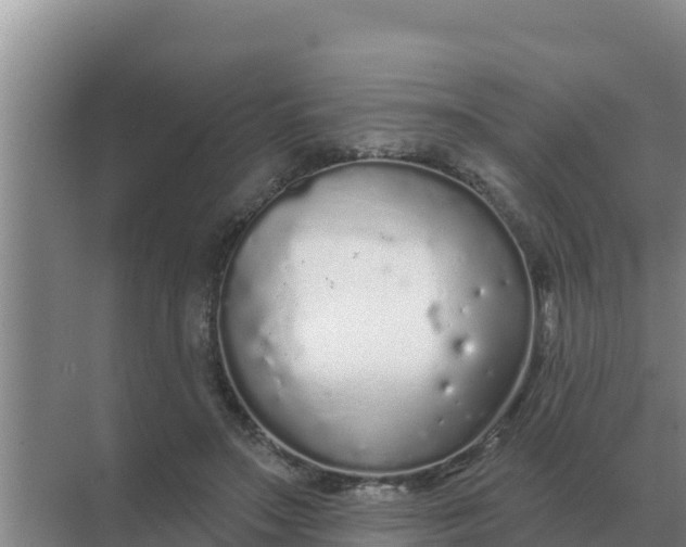 X0000071770499200607150032