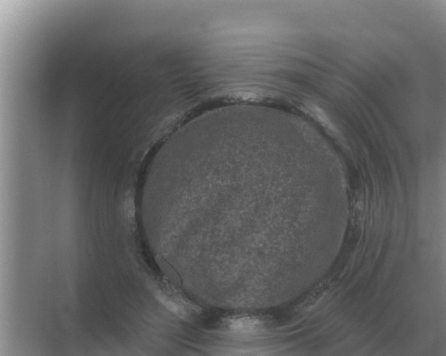 X0000071770500200607150032