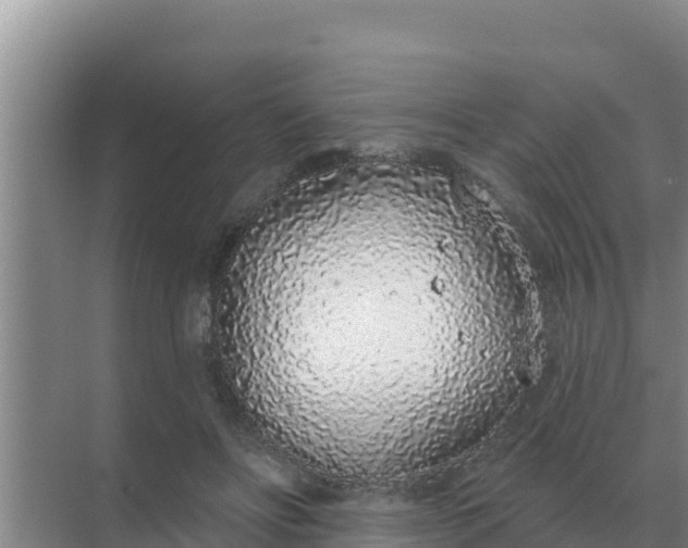 X0000071770502200607150032