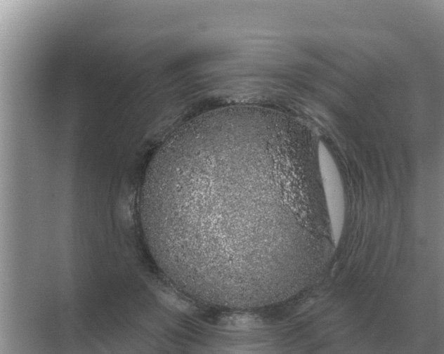 X0000071770503200607150032