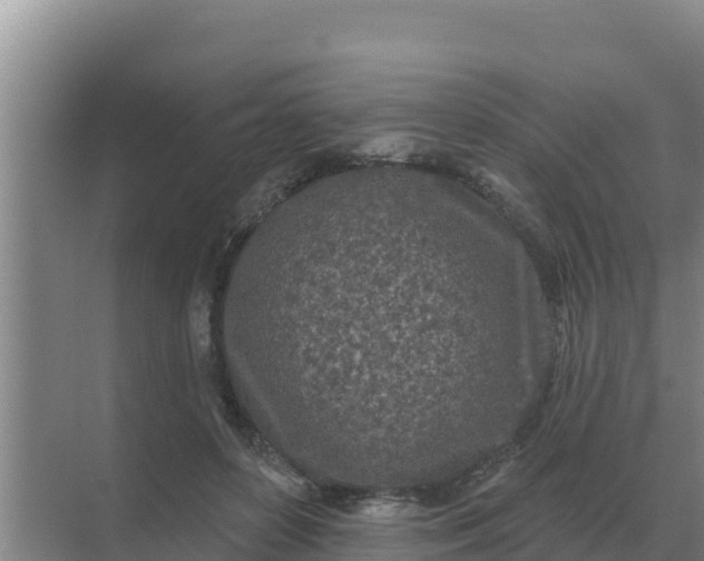 X0000071770504200607150032