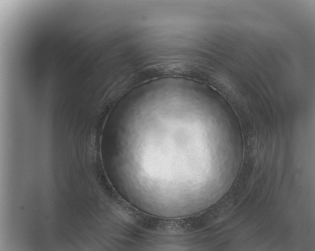 X0000071770506200607150032