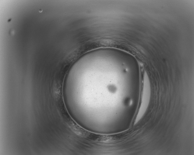 X0000071770507200607150032