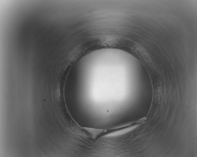 X0000071770508200607150032