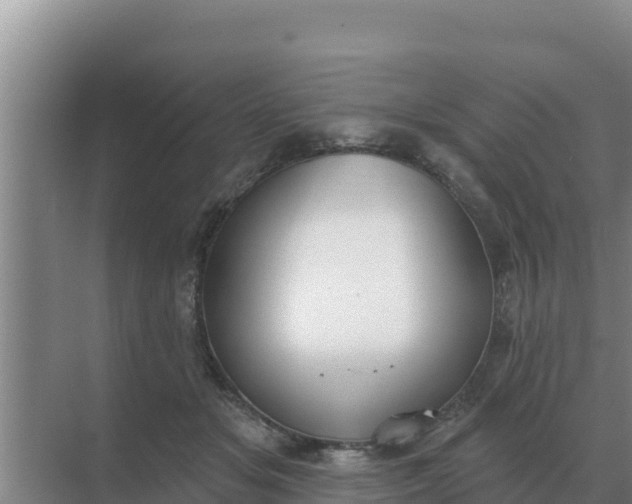 X0000071770509200607150032