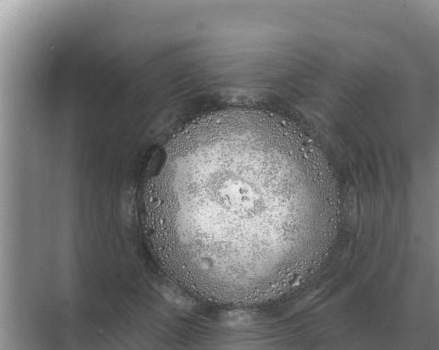 X0000071770511200607150032