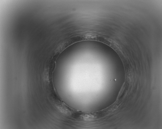 X0000071770512200607150032