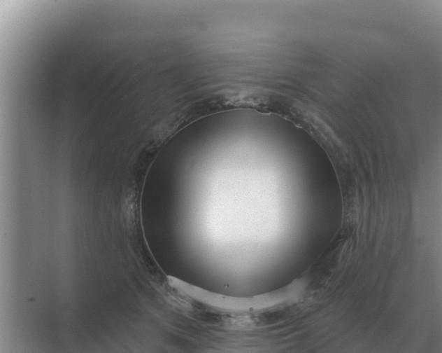 X0000071770513200607150032