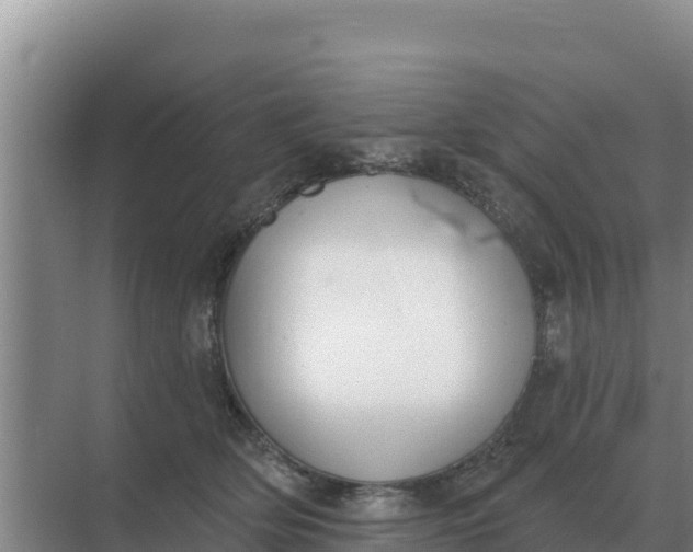 X0000071770514200607150032