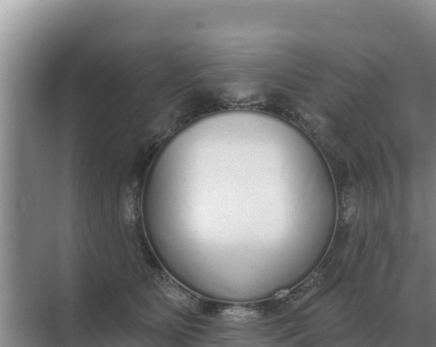 X0000071770515200607150032