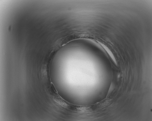 X0000071770516200607150032