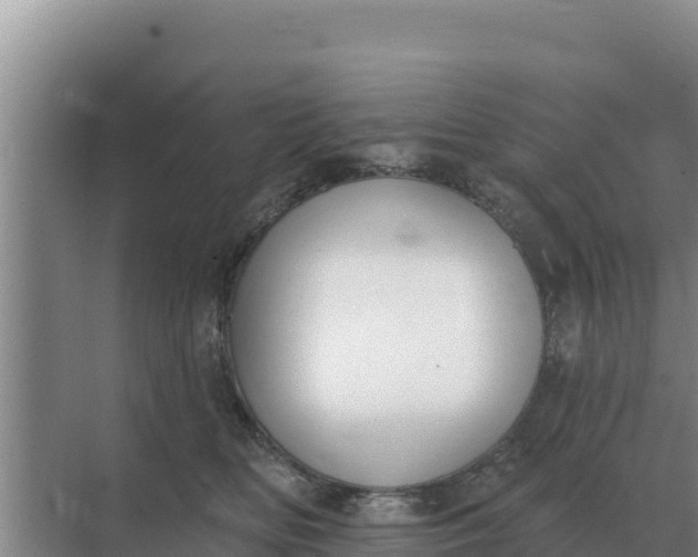 X0000071770518200607150032