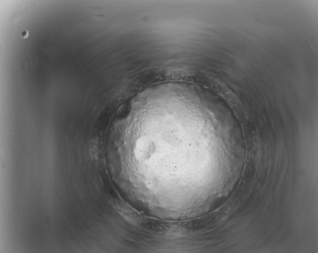 X0000071770519200607150032