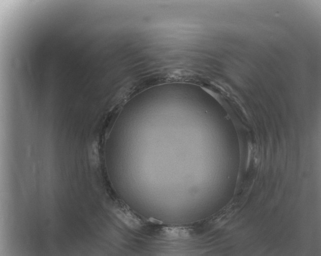 X0000071770520200607150031