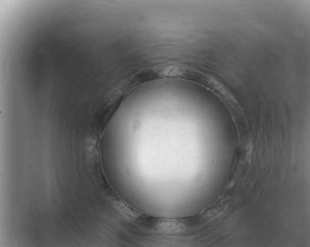 X0000071770521200607150031