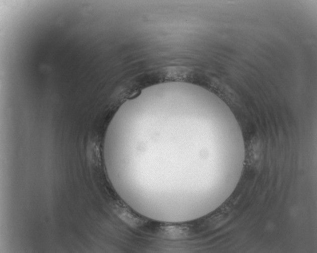 X0000071770522200607150031