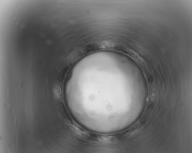 X0000071770523200607150031