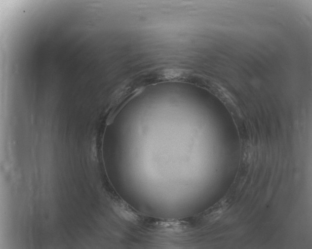 X0000071770524200607150031