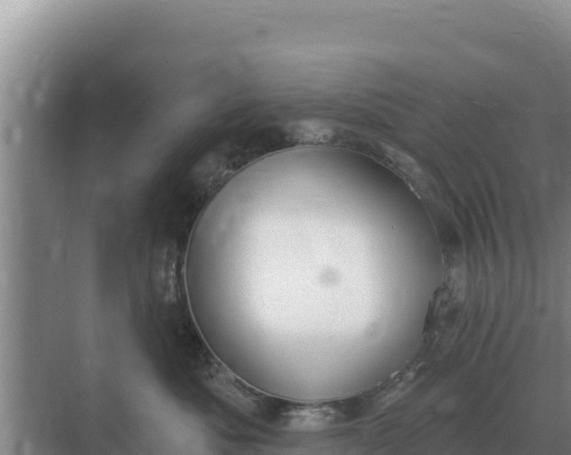 X0000071770525200607150031