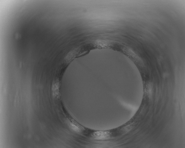 X0000071770526200607150031