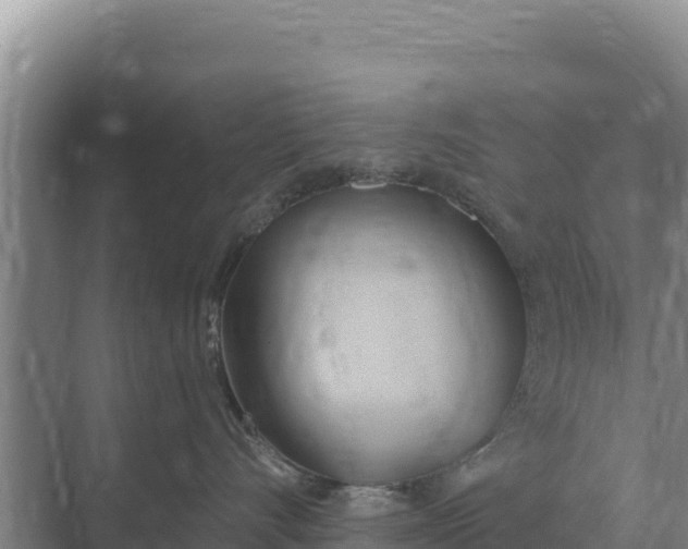 X0000071770528200607150031