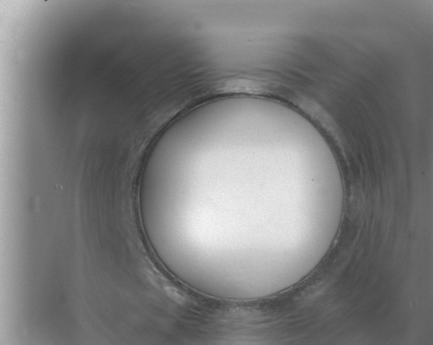 X0000071770529200607150031