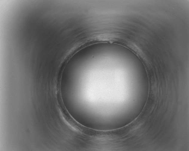 X0000071770530200607150031