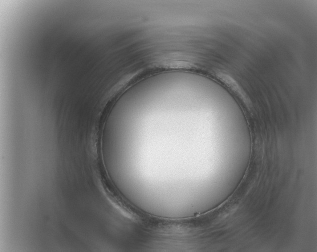 X0000071770533200607150031