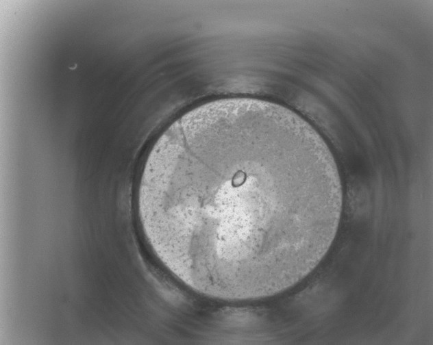 X0000071770534200607150031