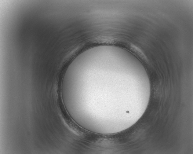 X0000071770538200607150031