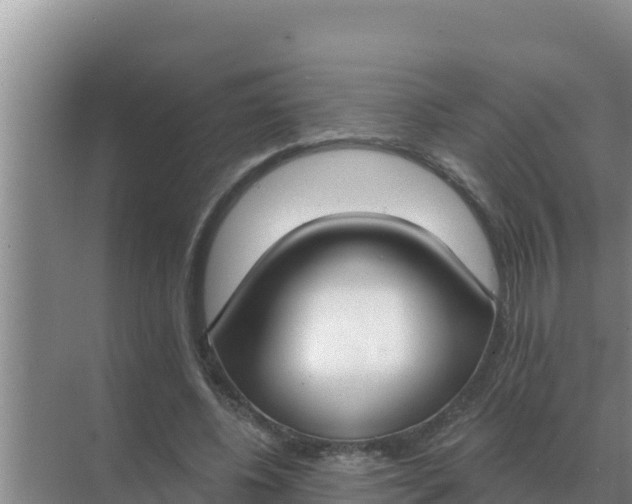 X0000071770540200607150031