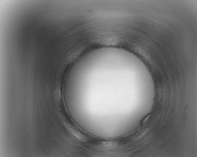 X0000071770541200607150031