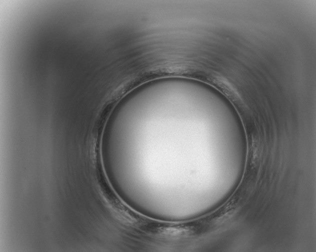 X0000071770542200607150031