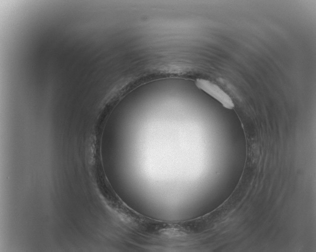 X0000071770544200607150031