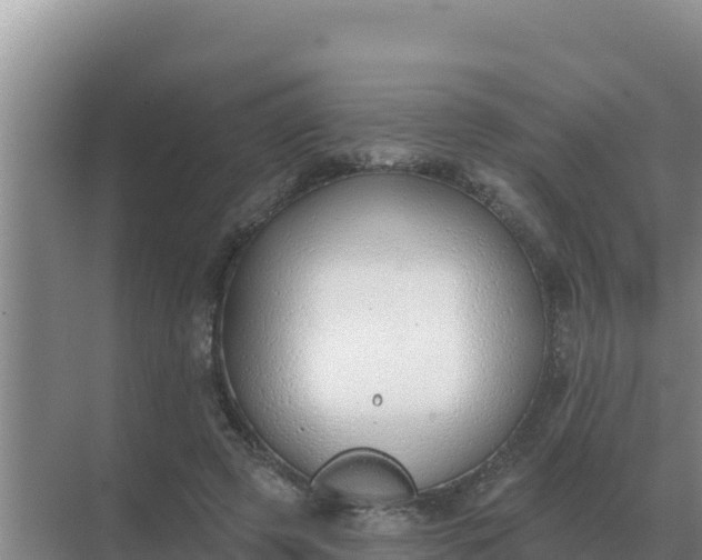 X0000071770545200607150031