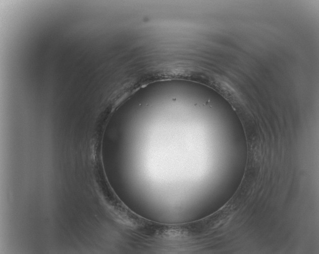 X0000071770546200607150031