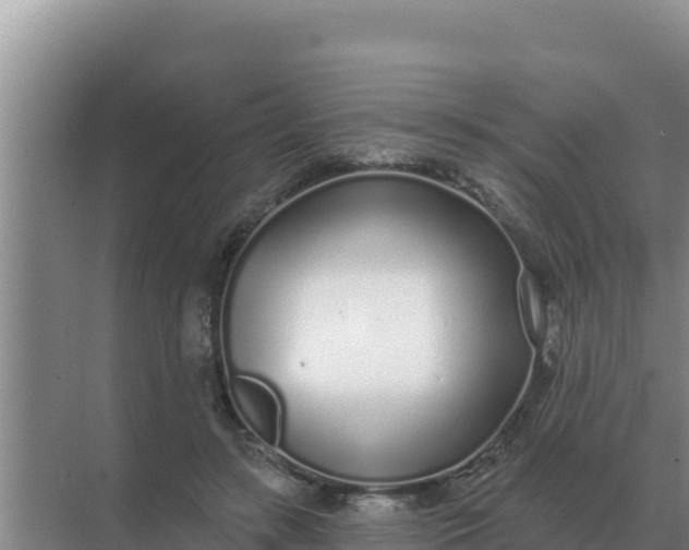 X0000071770547200607150031