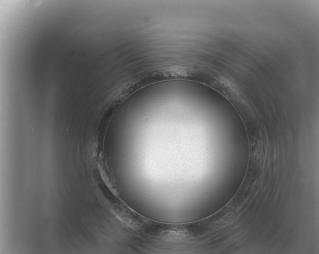 X0000071770548200607150031