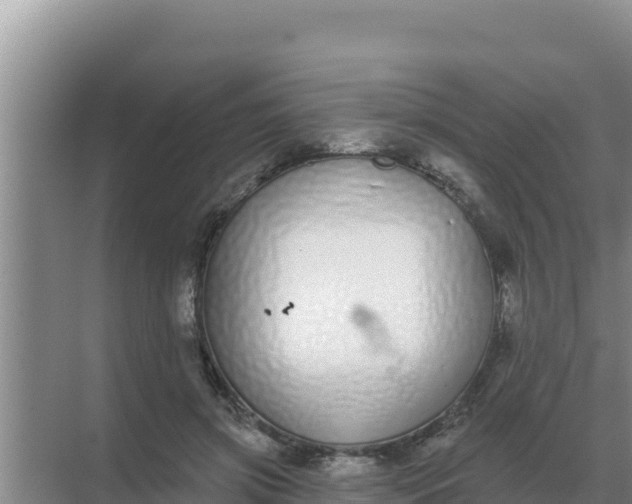 X0000071770549200607150031