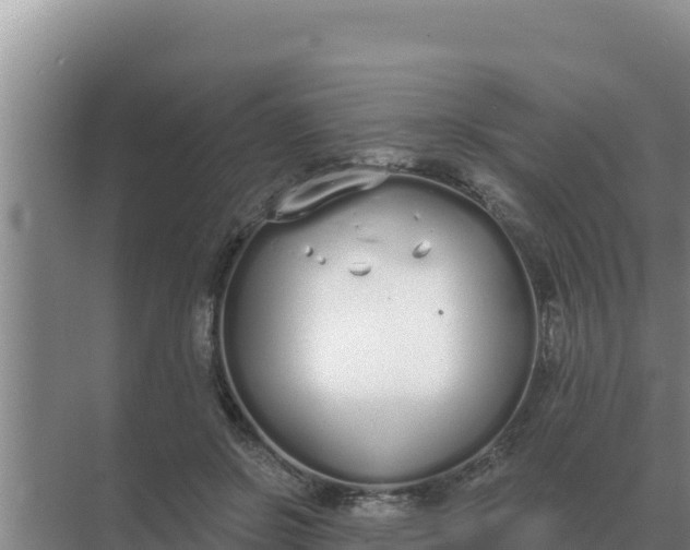 X0000071770550200607150031