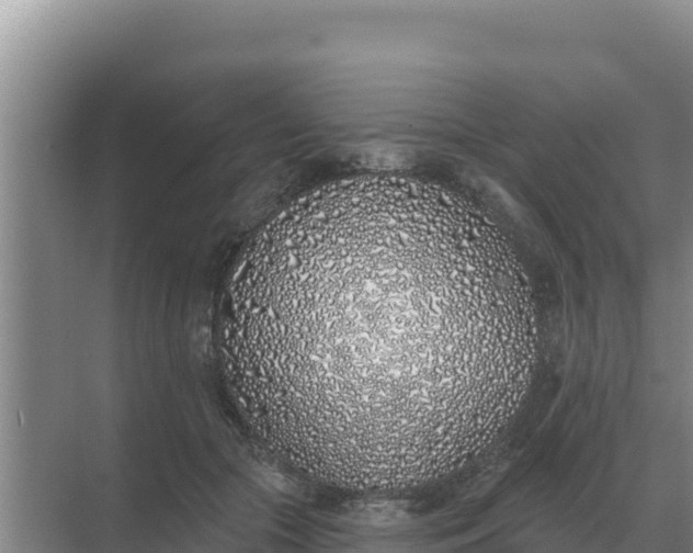 X0000071770553200607150031