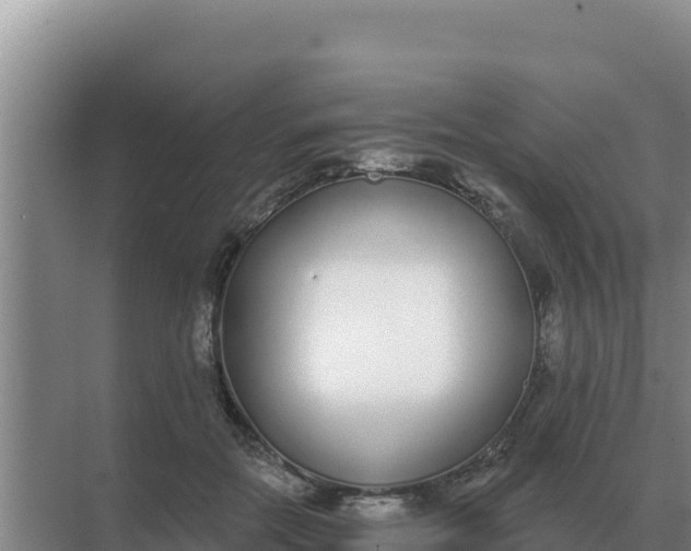 X0000071770554200607150031